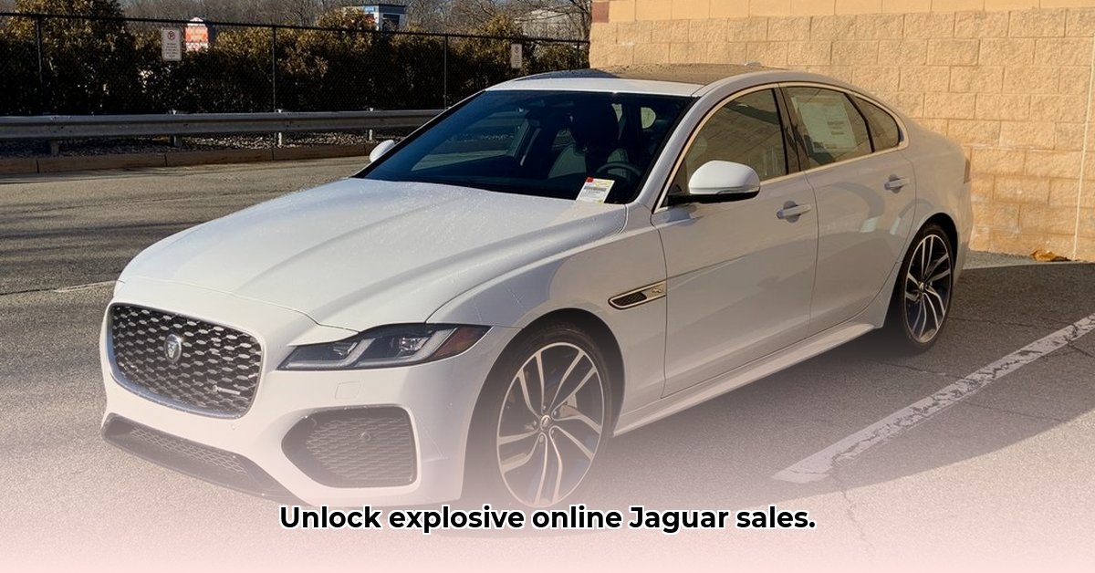 kaplan-jaguar-warwick